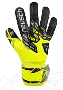 REUSCH ATTRAKT SILVER