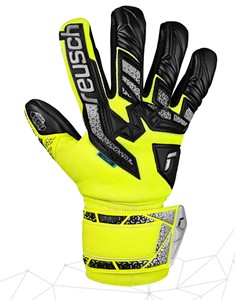 REUSCH ATTRAKT FREEGEL SILVER JR